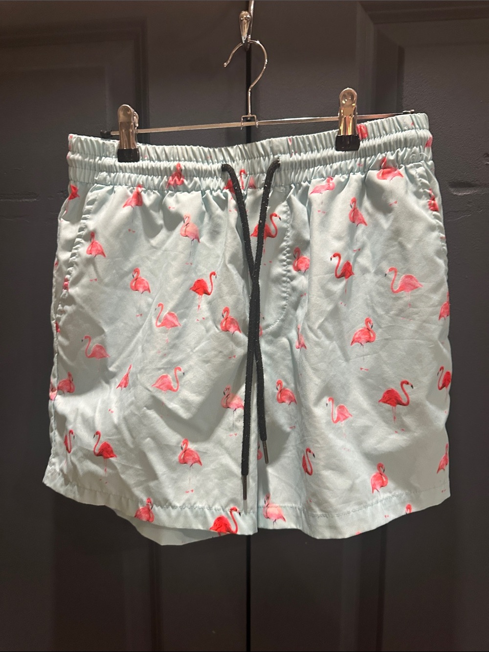SHEIN Light Blue Swim Trunks with Pink Flamingo Print